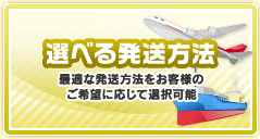 選べる発送方法　最適な発送方法をお客様のご希望に応じて選択可能