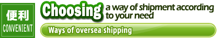 -CONVENIENT- Choosing away of shipment according to your need