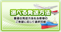 選べる発送方法　最適な発送方法をお客様のご希望に応じて選択可能