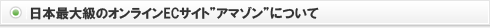 日本最大級のオンラインECサイト「アマゾン」について