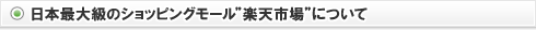 日本最大級のショッピングモール楽天市場について